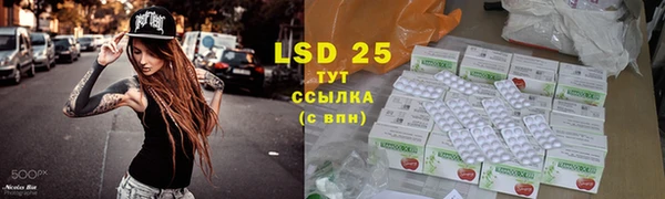 дживик Абаза