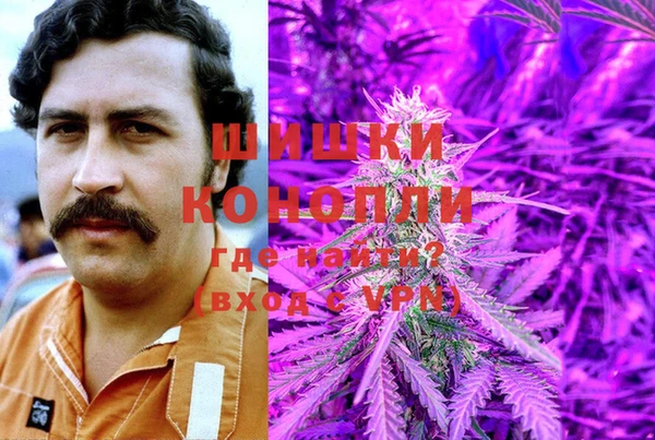 ГАЛЛЮЦИНОГЕННЫЕ ГРИБЫ Алексеевка