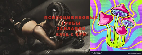 бошки Алексин