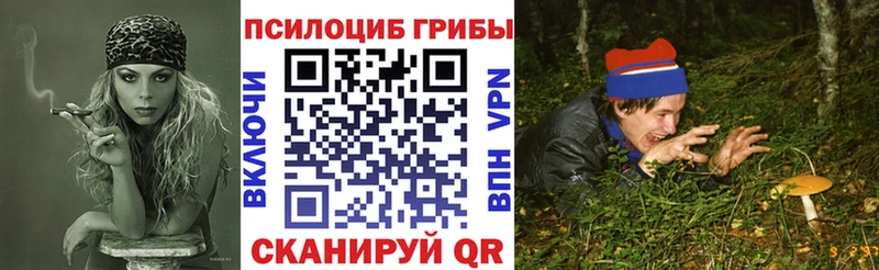 Псилоцибиновые грибы Psilocybe  купить   Углегорск 